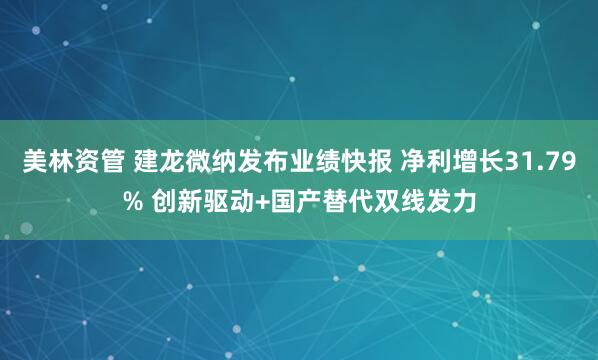 美林资管 建龙微纳发布业绩快报 净利增长31.79% 创新驱动+国产替代双线发力