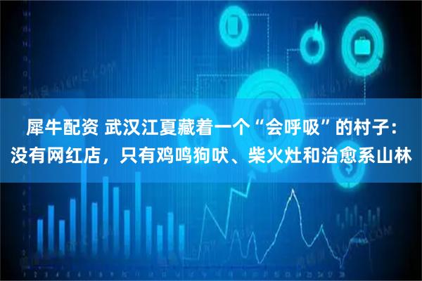 犀牛配资 武汉江夏藏着一个“会呼吸”的村子：没有网红店，只有鸡鸣狗吠、柴火灶和治愈系山林