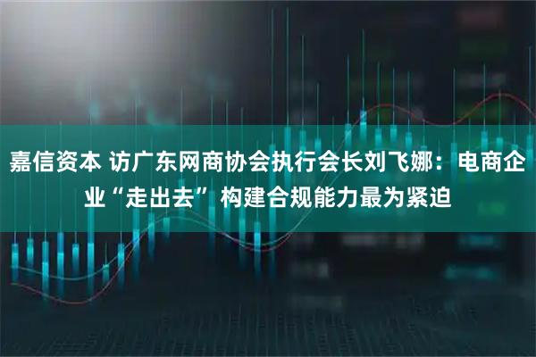 嘉信资本 访广东网商协会执行会长刘飞娜：电商企业“走出去” 构建合规能力最为紧迫