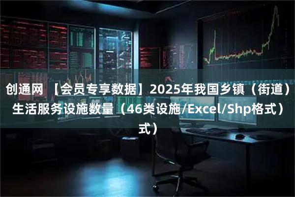 创通网 【会员专享数据】2025年我国乡镇（街道）生活服务设施数量（46类设施/Excel/Shp格式）
