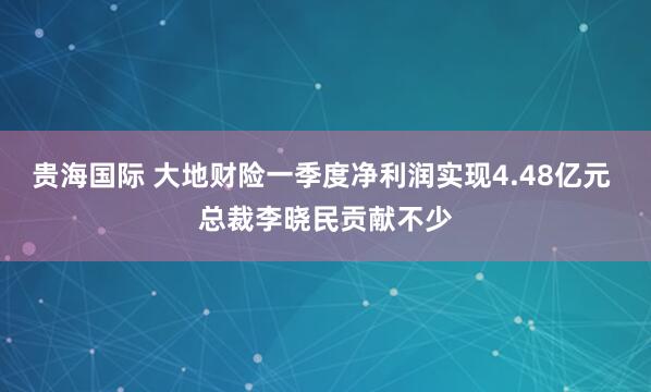 贵海国际 大地财险一季度净利润实现4.48亿元 总裁李晓民贡献不少