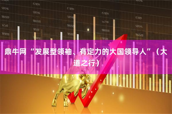 鼎牛网 “发展型领袖、有定力的大国领导人”（大道之行）