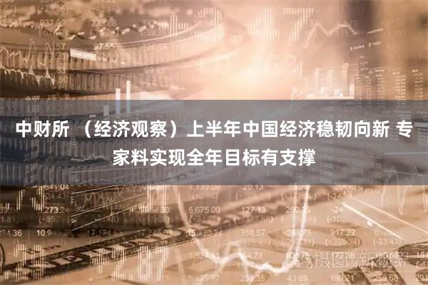 中财所 （经济观察）上半年中国经济稳韧向新 专家料实现全年目标有支撑