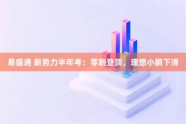 易盛通 新势力半年考：零跑登顶，理想小鹏下滑