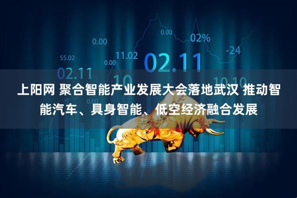 上阳网 聚合智能产业发展大会落地武汉 推动智能汽车、具身智能、低空经济融合发展